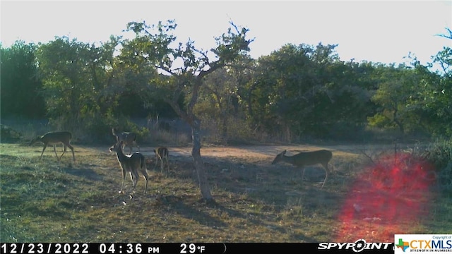LOT12/13 Byrd Ranch Rd, Johnson City, TX 78636 - photo 29