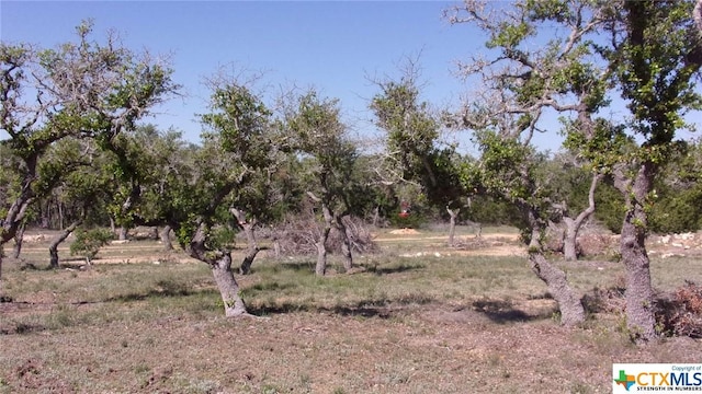 LOT12/13 Byrd Ranch Rd, Johnson City, TX 78636 - photo 9