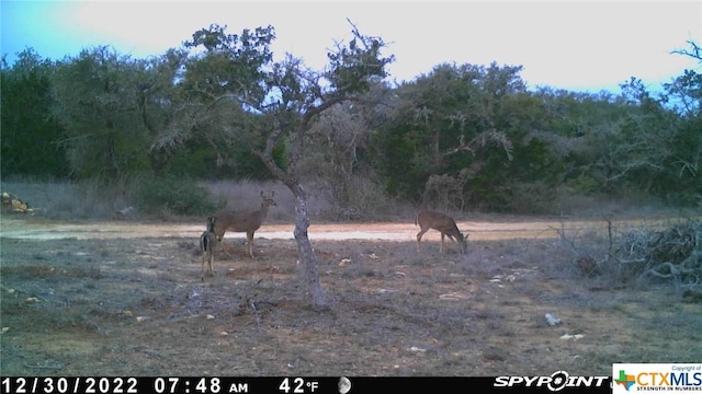 LOT12/13 Byrd Ranch Rd, Johnson City, TX 78636 - photo 15