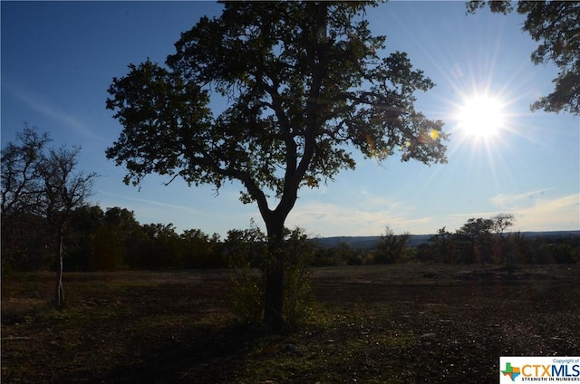 LOT12/13 Byrd Ranch Rd, Johnson City, TX 78636 - photo 12