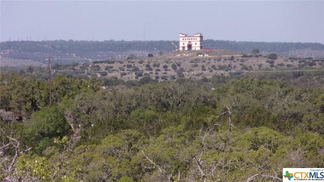 LOT12/13 Byrd Ranch Rd, Johnson City, TX 78636 - photo 4