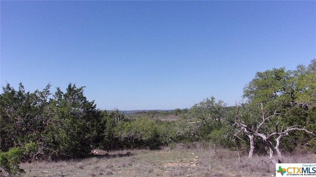 LOT12/13 Byrd Ranch Rd, Johnson City, TX 78636 - photo 10