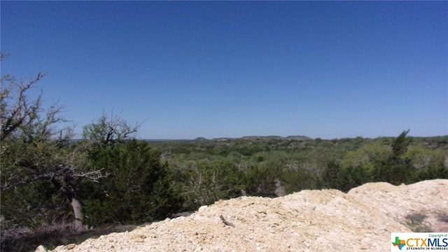 LOT12/13 Byrd Ranch Rd, Johnson City, TX 78636 - photo 5