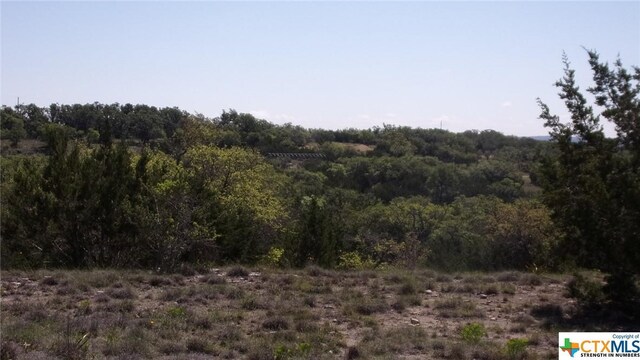 LOT12/13 Byrd Ranch Rd, Johnson City, TX 78636 - photo 36