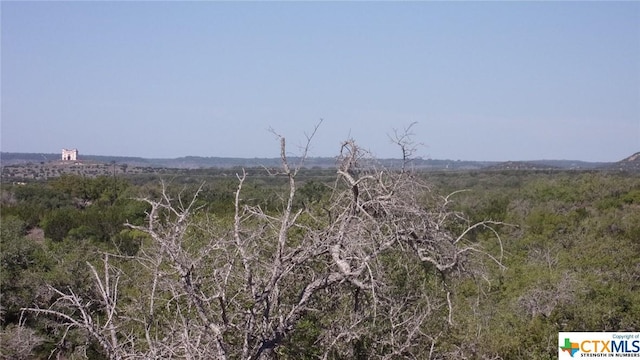 LOT12/13 Byrd Ranch Rd, Johnson City, TX 78636 - photo 16