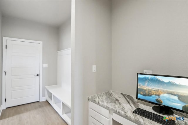 4007 Aerie St, Salado, TX 76571 - mudroom with light wood-style flooring