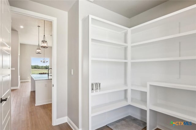 4007 Aerie St, Salado, TX 76571 - view of pantry