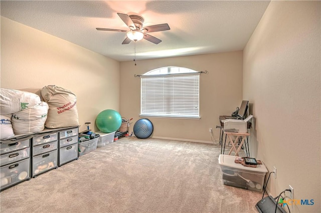 10016 Smock Mill Ln, Temple, TX 76502 - workout room featuring a ceiling fan, carpet floors, and a textured ceiling