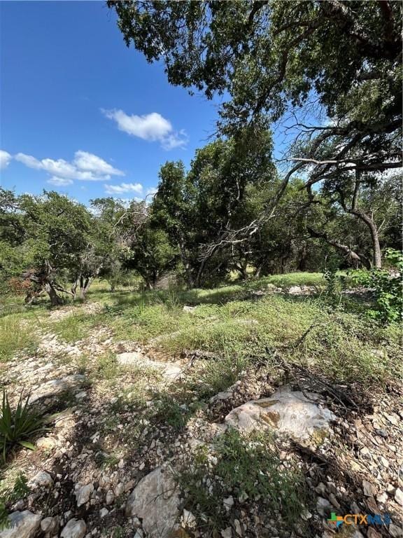 856 Lime Rock Ave, Canyon Lake, TX 78133 - photo 4