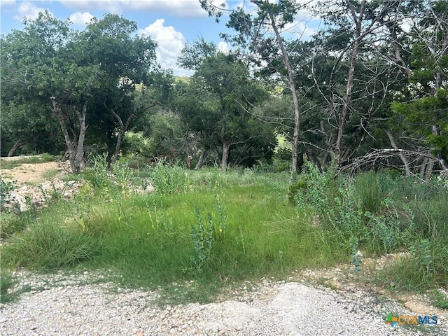 856 Lime Rock Ave, Canyon Lake, TX 78133 - photo 2