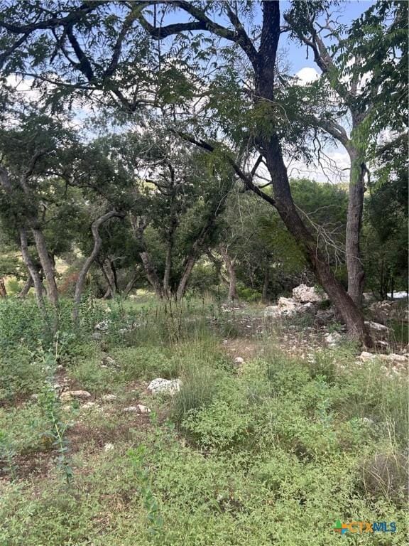 856 Lime Rock Ave, Canyon Lake, TX 78133 - photo 3