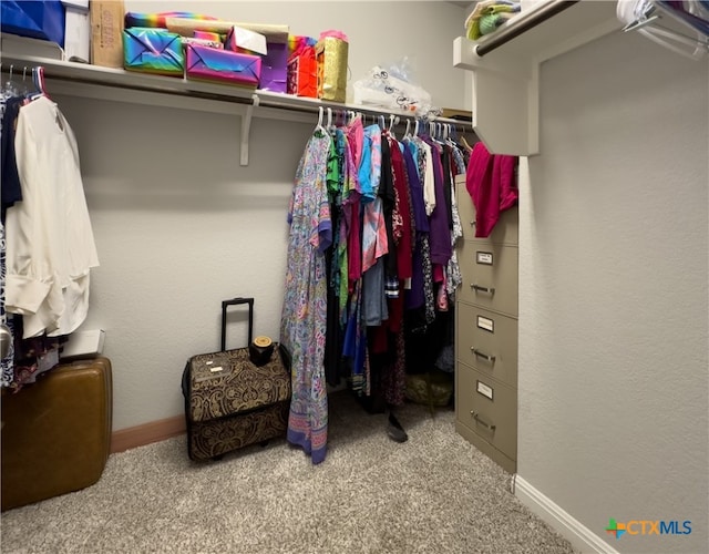 spacious closet with carpet flooring