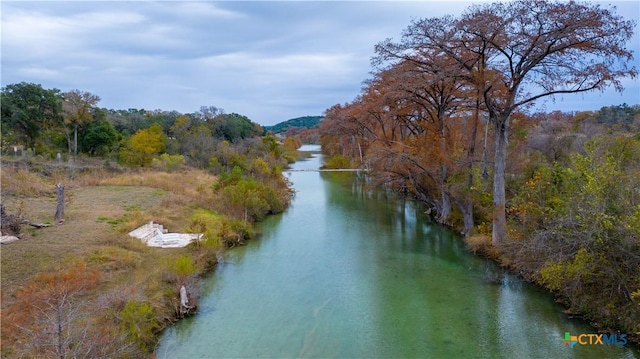 water view featuring a view of trees
