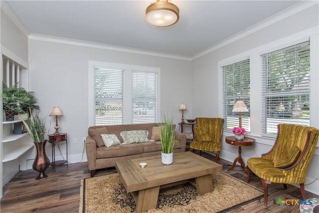 living room featuring dark hardwood / wood-style floors and ornamental molding