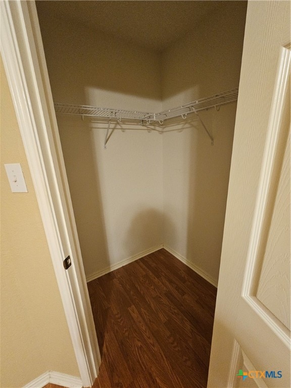 walk in closet with dark hardwood / wood-style floors