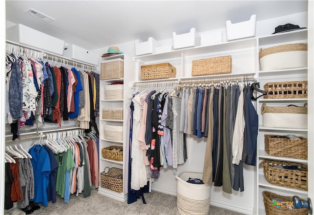 walk in closet featuring carpet flooring