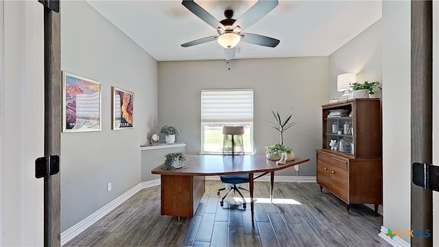 office space featuring ceiling fan and dark hardwood / wood-style flooring