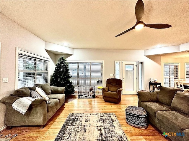 living room featuring ceiling fan, hardwood / wood-style floors, and a textured ceiling