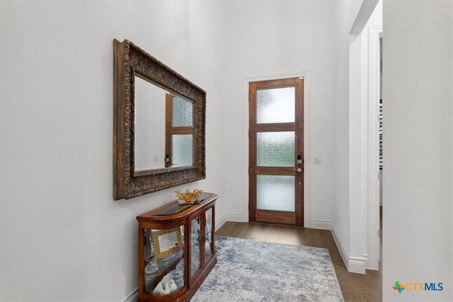 119 Rivalto Dr, Horseshoe Bay, TX 78657 - foyer entrance featuring baseboards and dark wood-style floors