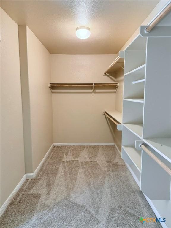 2602 Camp Cooper Dr, Killeen, TX 76549 - walk in closet featuring carpet floors