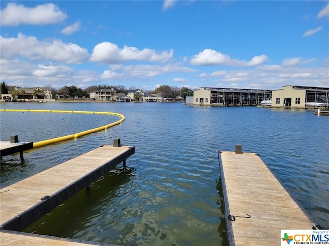 dock area with a water view