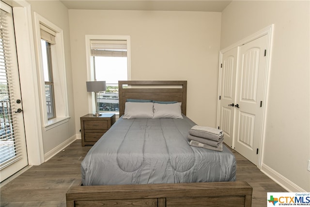 bedroom featuring dark wood-type flooring and a closet