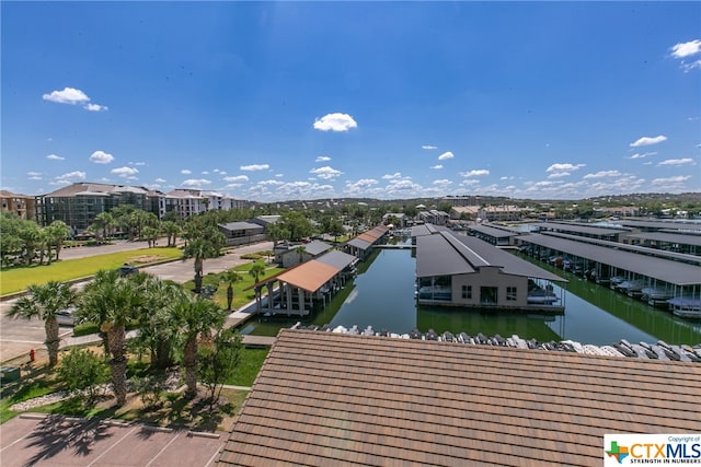 aerial view with a water view