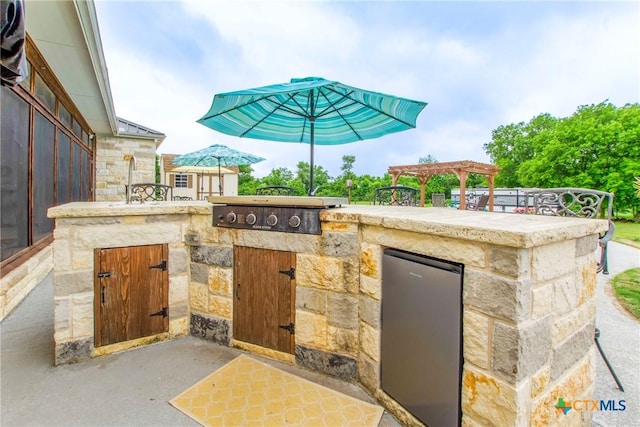 645 W Big Elm Rd, Troy, TX 76579 - view of patio with an outdoor kitchen and area for grilling