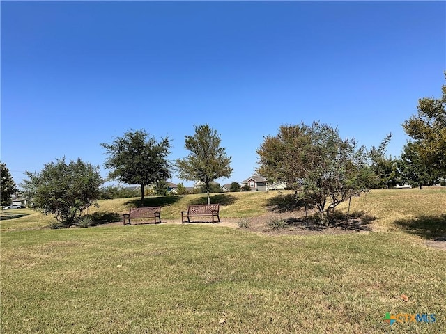 125 Duck Creek Trl, San Marcos, TX 78666 - view of green lawn