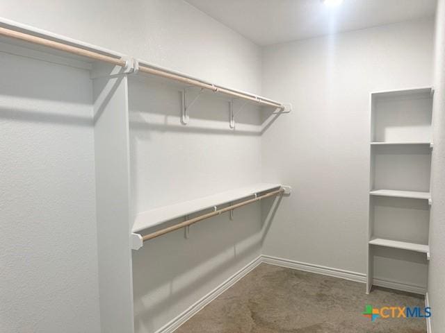 2310 Ocean Ave, Temple, TX 76501 - spacious closet featuring carpet flooring