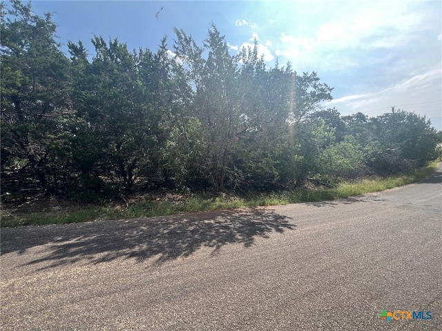 16034 Salado Dr, Temple, TX 76502 - photo 4