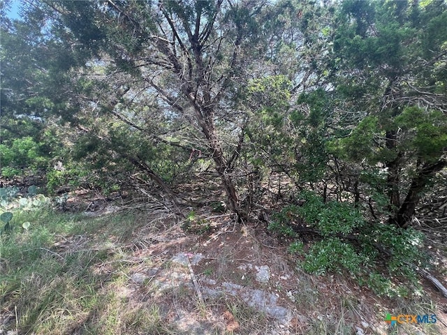 16034 Salado Dr, Temple, TX 76502 - photo 3