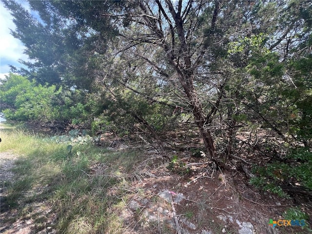 16034 Salado Dr, Temple, TX 76502 - photo 2