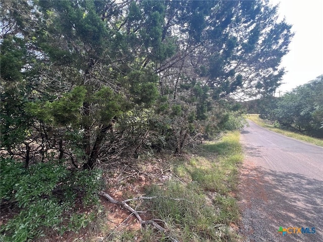 16034 Salado Dr, Temple, TX 76502 - photo 1