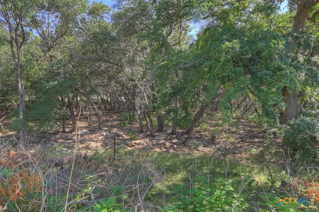 3055 Lakeview Dr, Canyon Lake, TX 78133 - view of nature