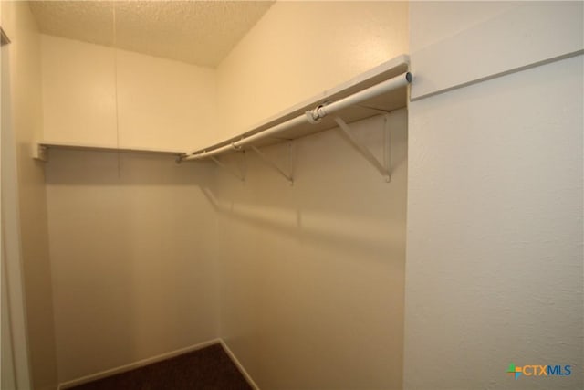 4508 Greenbriar Cir, Killeen, TX 76543 - view of walk in closet