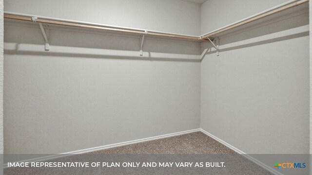 spacious closet featuring carpet