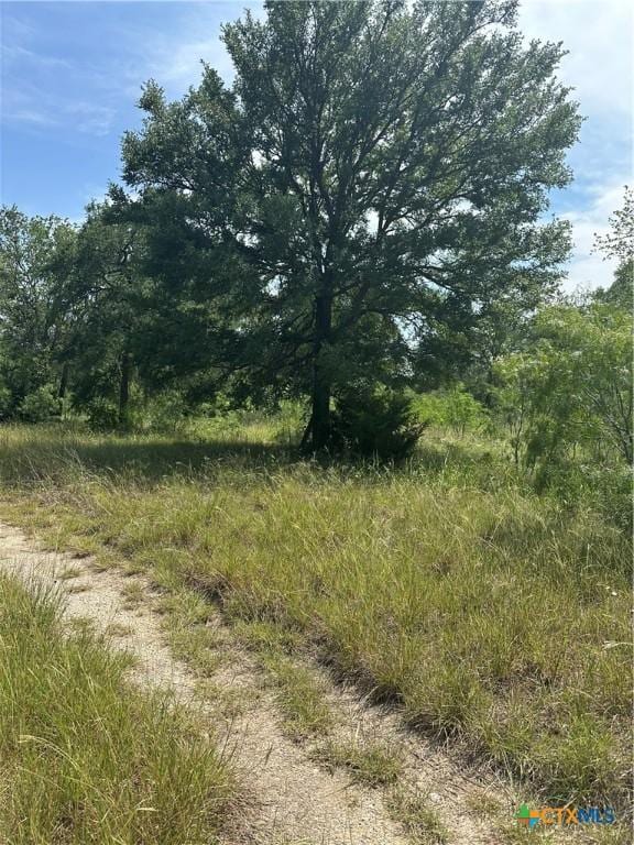 810 Water Tower Rd, Seguin, TX 78155 - photo 4