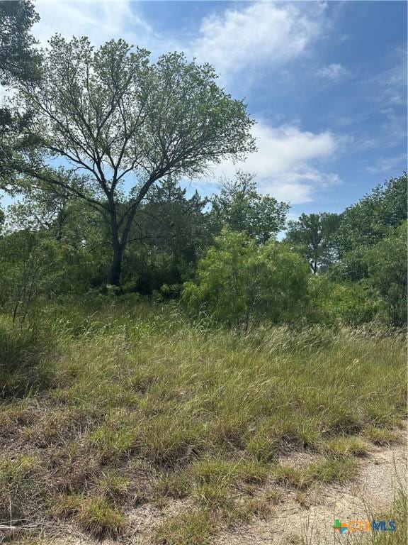 810 Water Tower Rd, Seguin, TX 78155 - photo 3