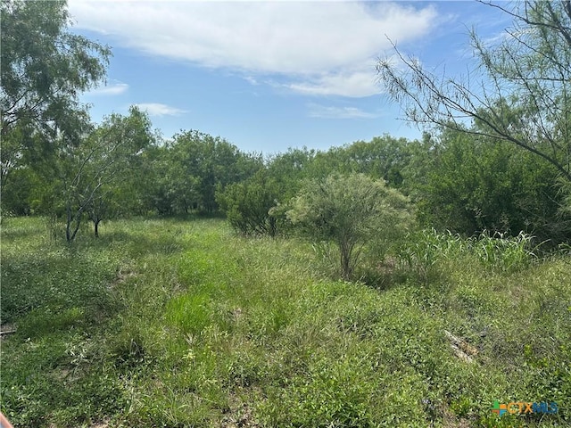 810 Water Tower Rd, Seguin, TX 78155 - photo 1