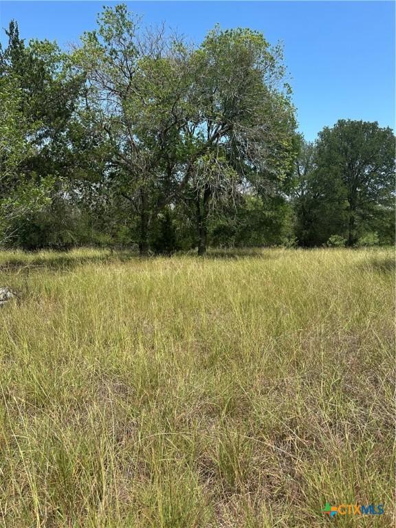 810 Water Tower Rd, Seguin, TX 78155 - photo 5