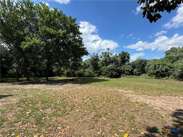 400 Grimes St, Cuero, TX 77954 - view of yard