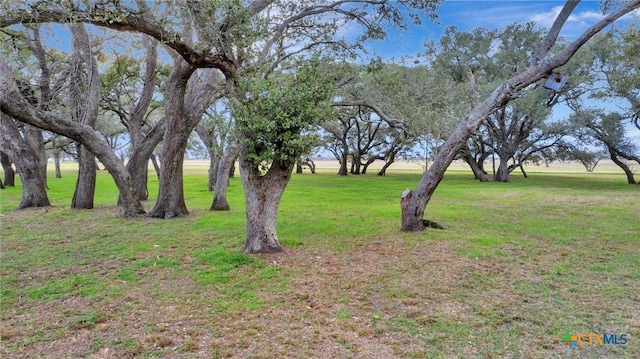 Listing photo 2 for 4536 S Fm 234, Edna TX 77957