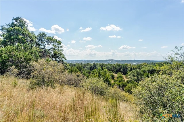 1154 Mystic Pkwy, Spring Branch, TX 78070 - photo 9