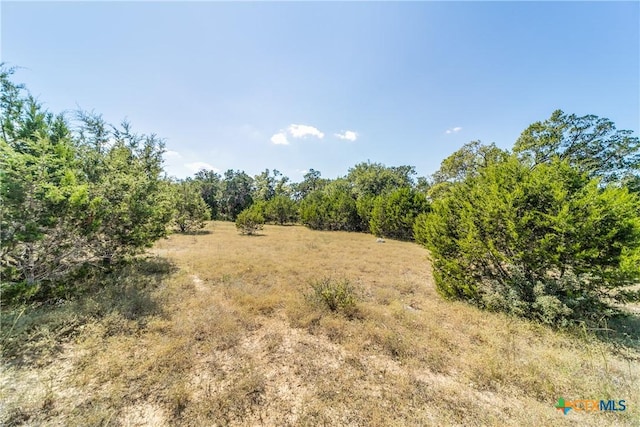 1154 Mystic Pkwy, Spring Branch, TX 78070 - photo 8