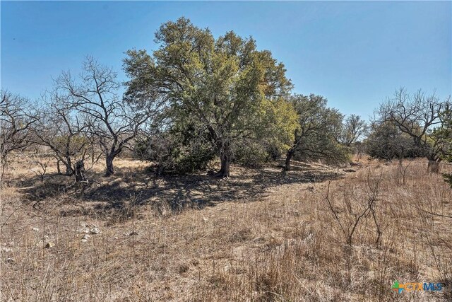 1098 Crabb Ln, Menard, TX 76859 - photo 8
