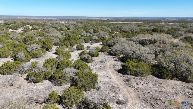 1098 Crabb Ln, Menard, TX 76859 - photo 13