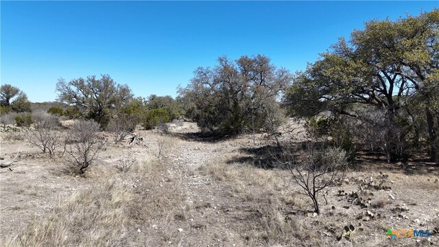 1098 Crabb Ln, Menard, TX 76859 - photo 11