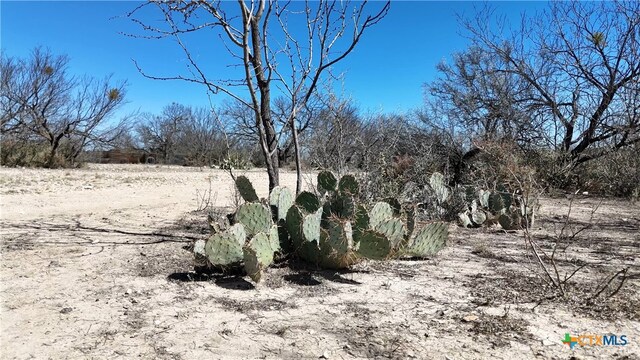1098 Crabb Ln, Menard, TX 76859 - photo 17