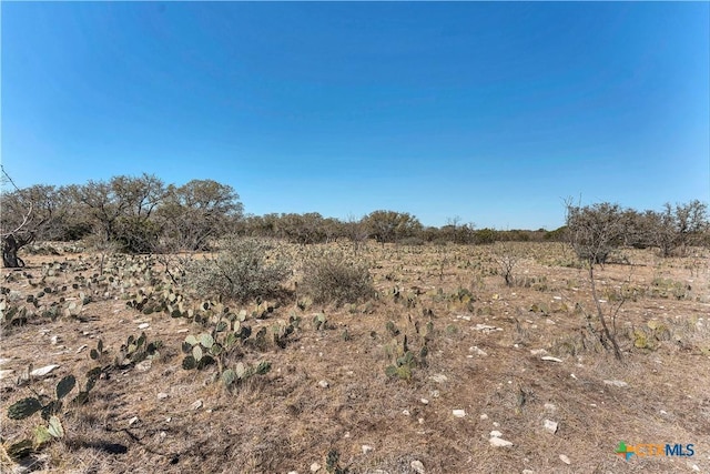 1098 Crabb Ln, Menard, TX 76859 - photo 10